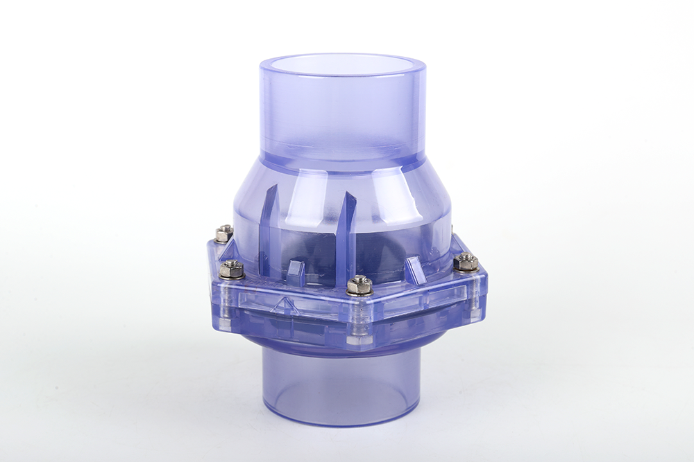 漳浦透明翻板式止回阀